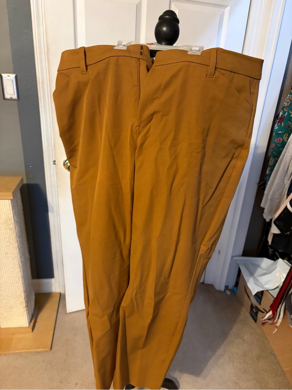 Women’s Classic Straight-Fit Pants in Light Brown
